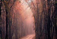 萨克拉门托国王能否延续主场连胜？与波特兰开拓者的对决一触即发