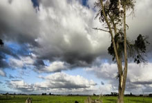 斯基拉：桑乔经纪人今天与罗马会面，曼联已接受2400万报价