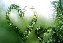 世俱杯前瞻：皇家马德里vs多特蒙德