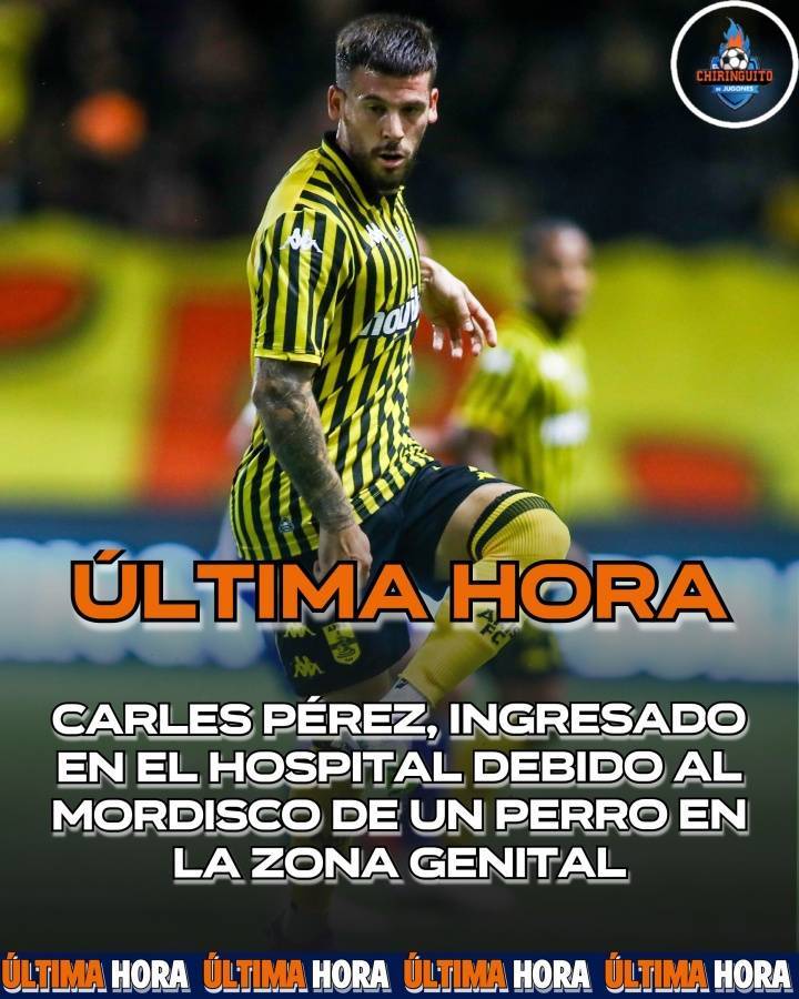 早报：哈托加盟切尔西HWG