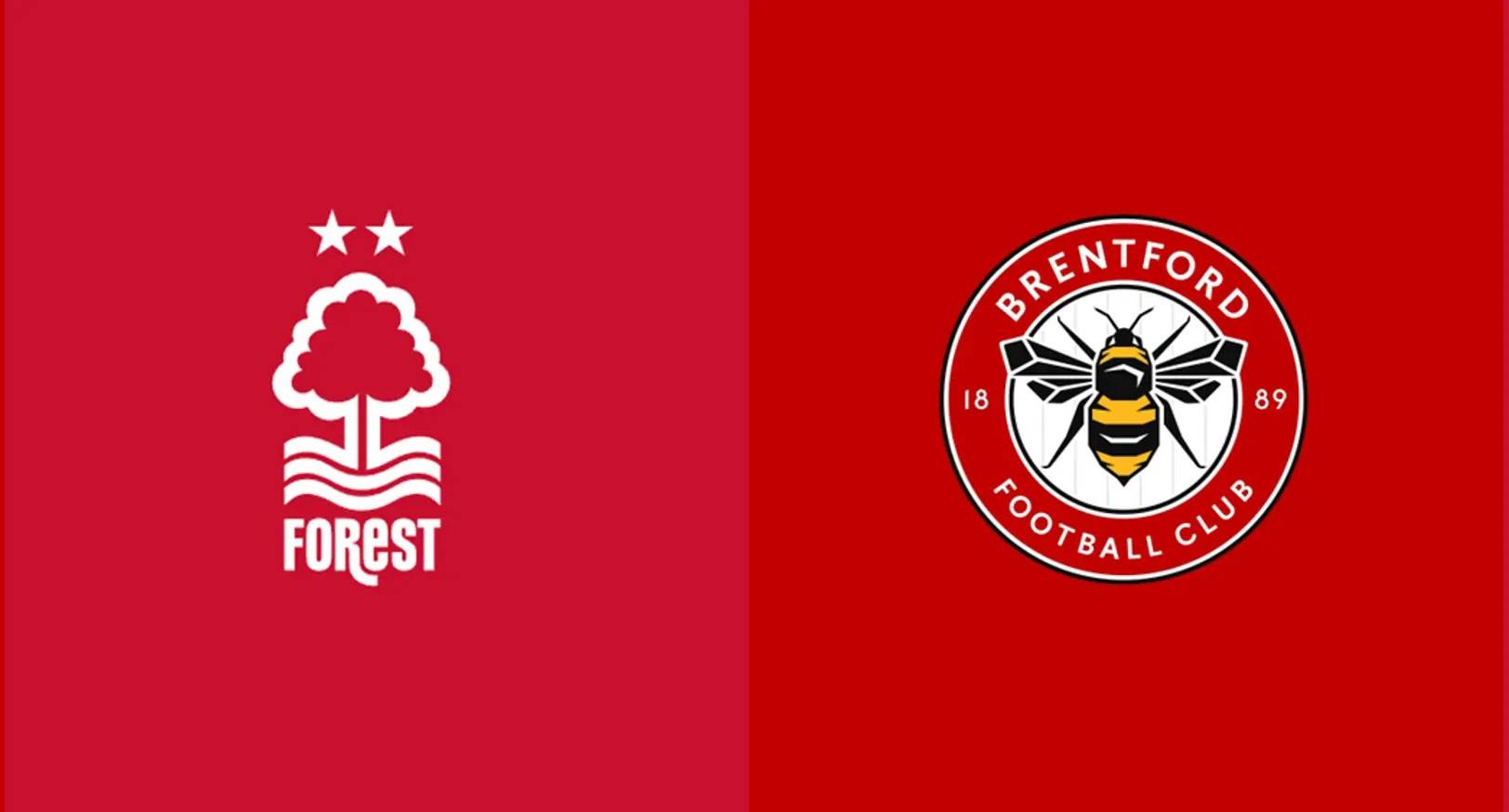 英超-森林VS布伦特福德：森林缺乏雄心，蜜蜂折了翅膀